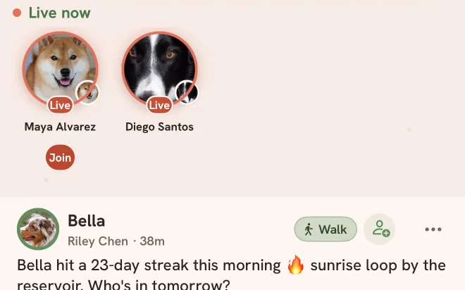 Live now on Home: Maya Alvarez and Diego Santos out walking, with a Join button, above Bella's streak post