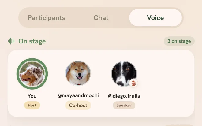 Tailmates walk party voice room: the Voice segment selected, three on stage with host, co-host and speaker labels
