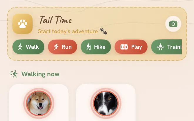Tailmates Tail Time prompt: start today's adventure with walk, run, hike, play, or training