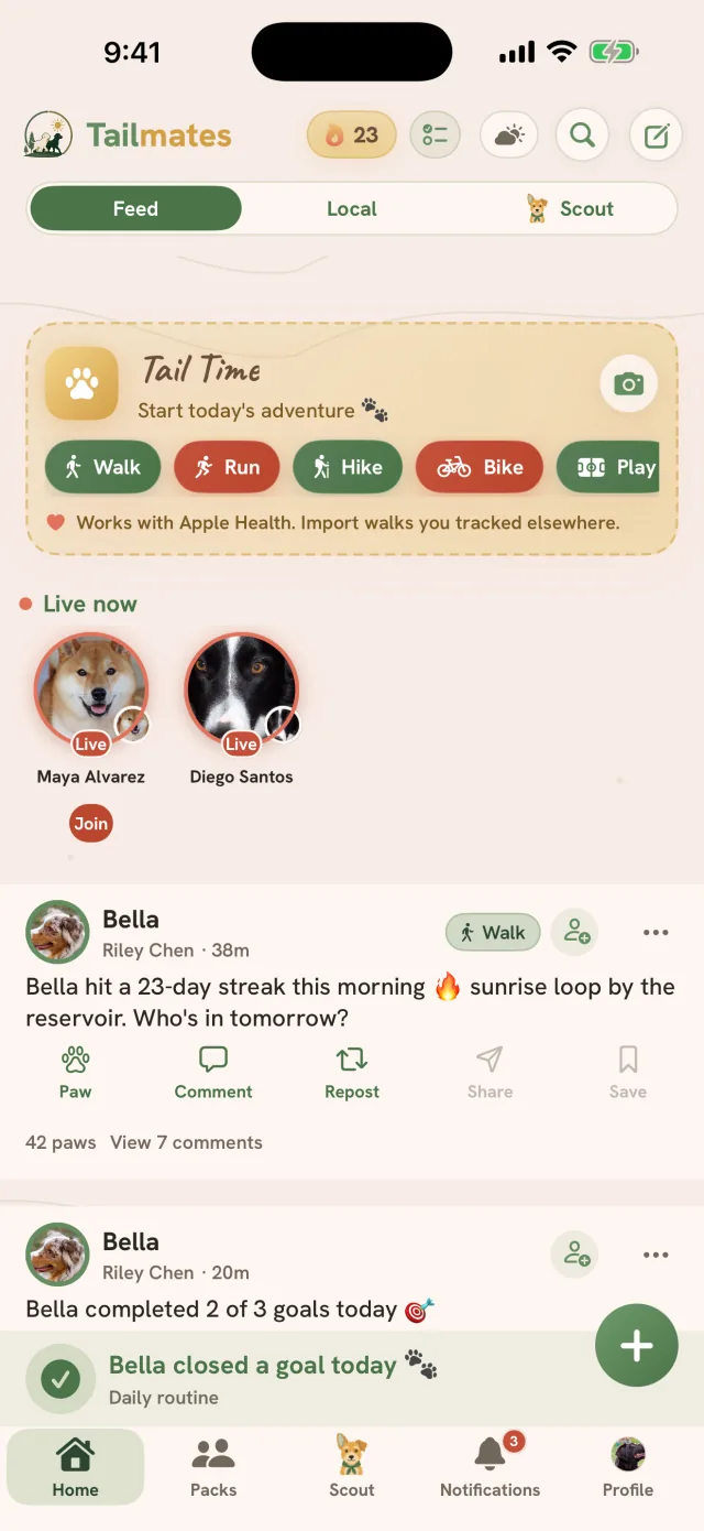 Tailmates Home: Feed, Local and Scout at the top, the Tail Time card, Live now with two walkers, and Bella's 23-day streak post, above the tab bar with Home, Packs, Scout, Notifications and Profile
