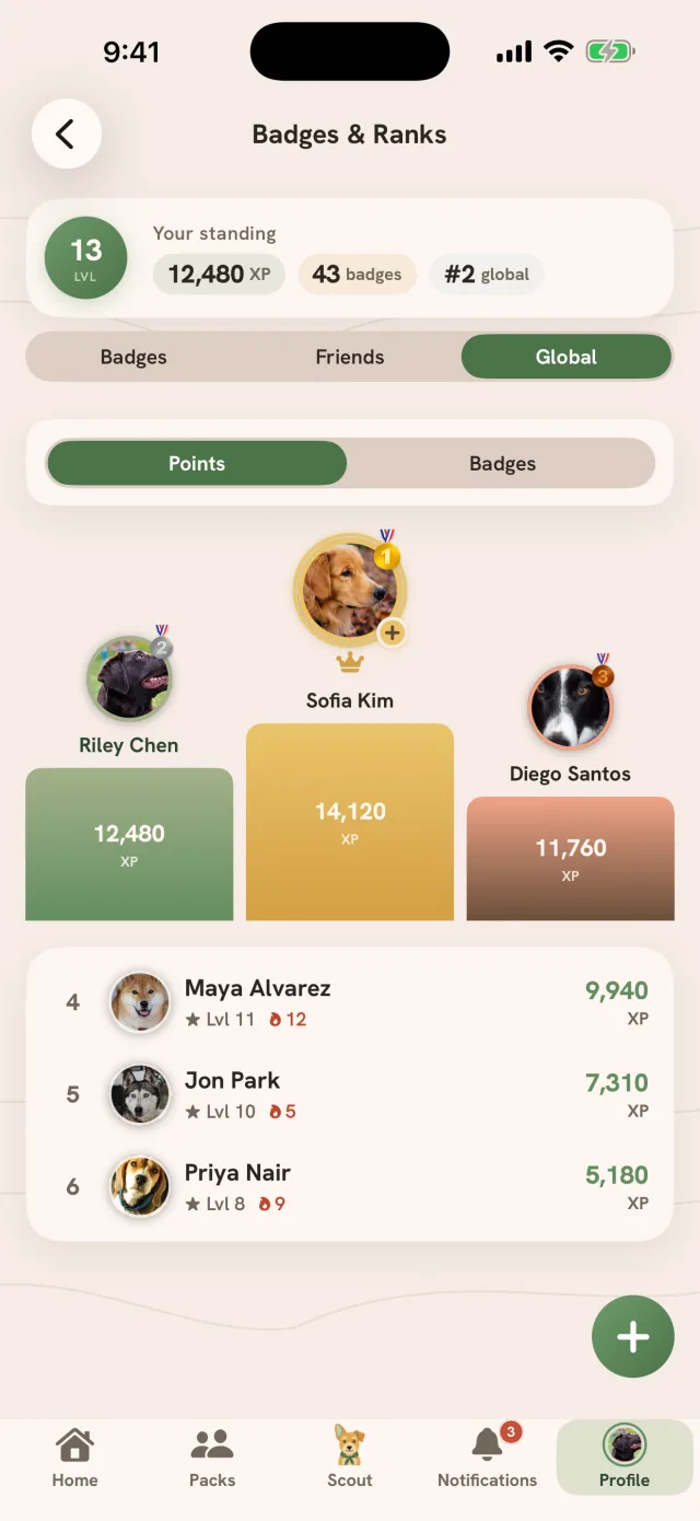 Badges and Ranks: your standing at level 13 with 12,480 XP, and the global points podium of Sofia Kim, Riley Chen and Diego Santos above ranked walkers