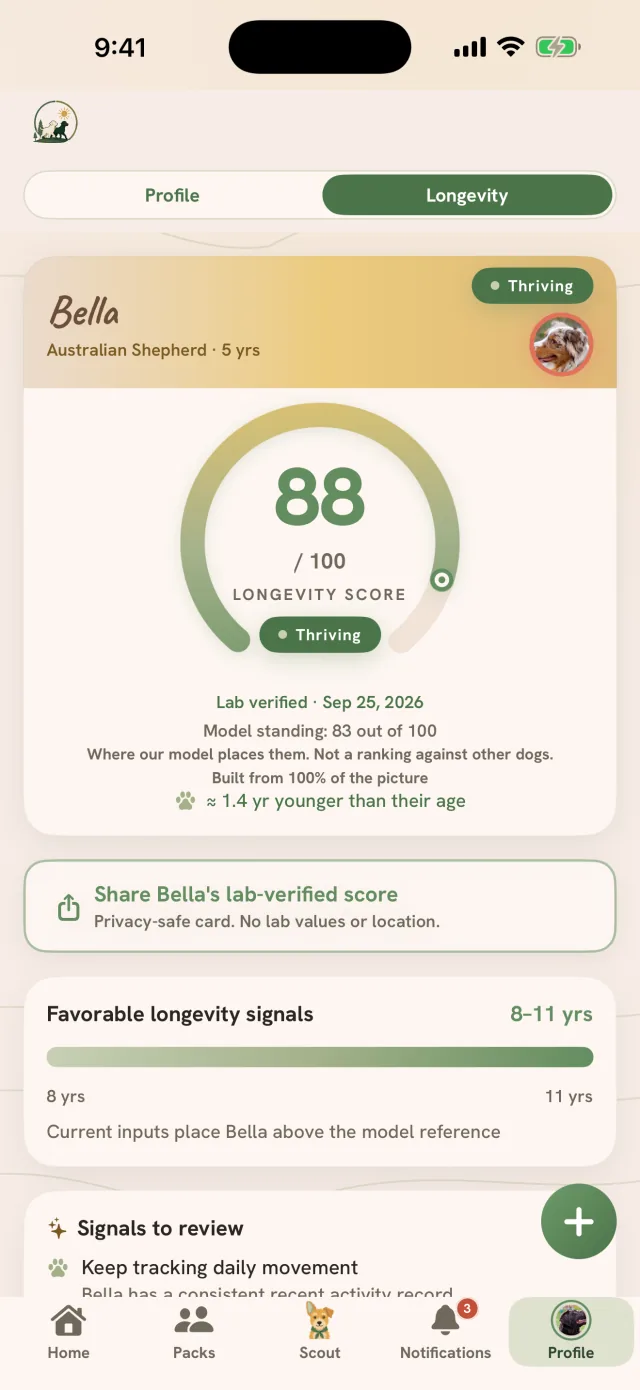 Bella's longevity score in Profile: 88 out of 100 in the Thriving band, lab verified, a model standing of 83 out of 100, and an 8 to 11 year modeled range