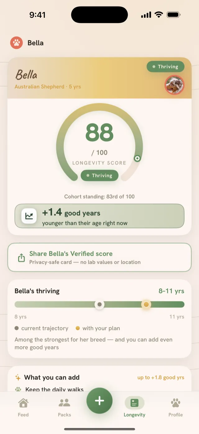 Tailmates longevity screen for Bella: an 88 out of 100 score in the Thriving band, model standing 83 out of 100, and an 8 to 11 year modeled remaining-life range