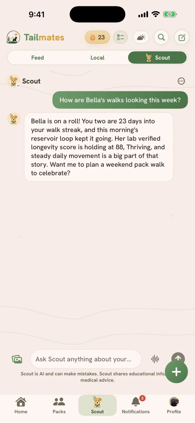 The Scout tab: asked how Bella's walks look this week, Scout answers from her record with her streak, this morning's reservoir loop and her lab-verified longevity score, above the AI disclosure line
