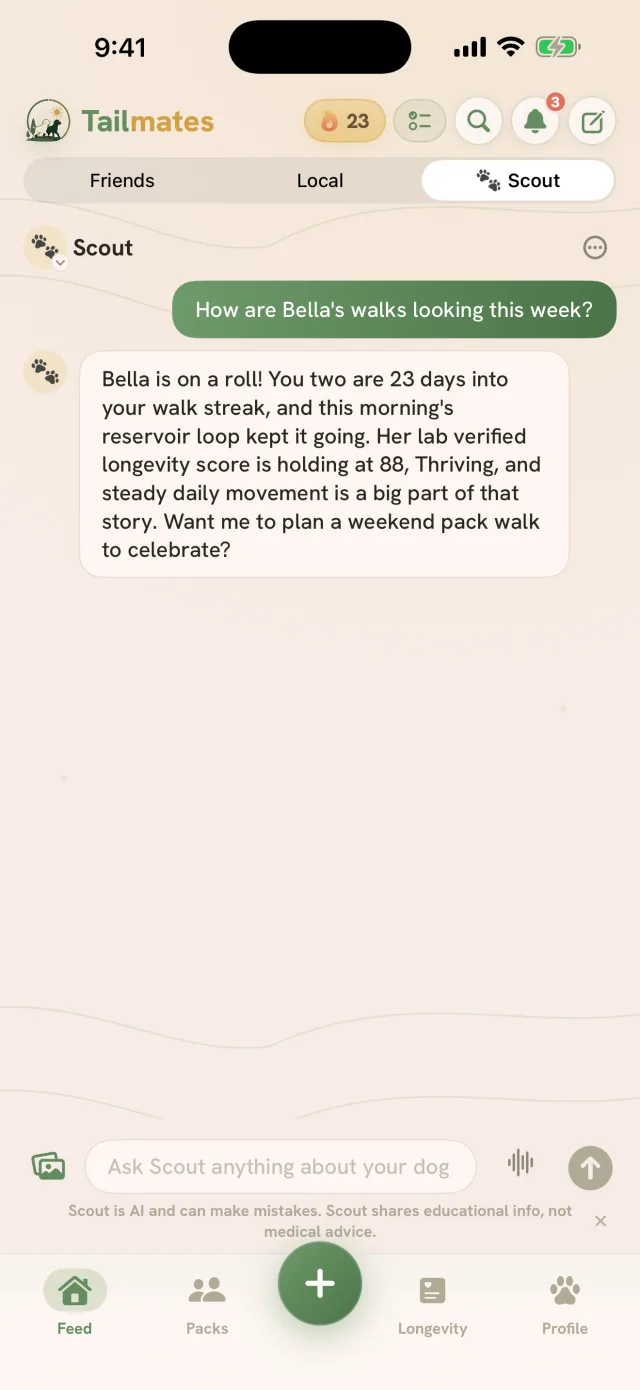 Tailmates Scout chat: asked how Bella's walks are looking this week, Scout answers from her record with her streak, this morning's reservoir loop, and her lab-verified longevity score, above the ask-Scout composer and the AI disclosure line