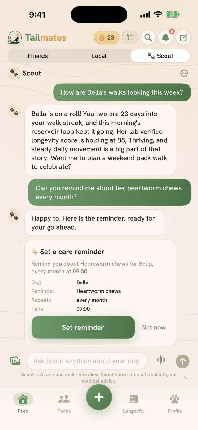 Tailmates Scout chat setting a care reminder: a Set a care reminder card for Bella's monthly heartworm chews with the dog, reminder, repeat, and time filled in, waiting on the Set reminder button
