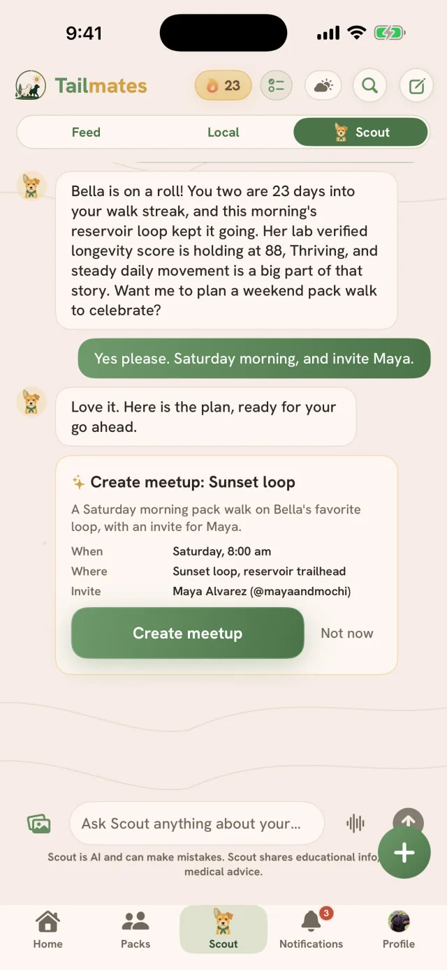 The Scout tab: Scout recaps Bella's 23-day streak and her lab-verified longevity score of 88, then drafts a Saturday morning pack walk on a Create meetup card that waits for you, above the AI disclosure line