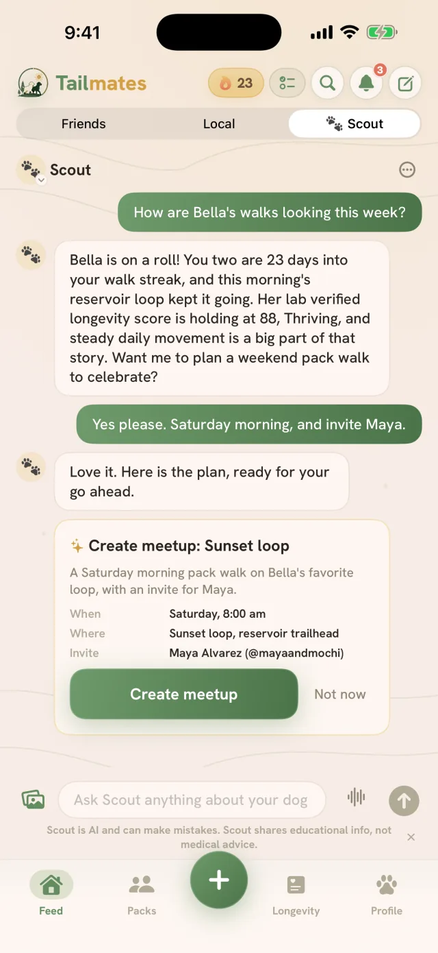 Tailmates Scout chat planning a pack walk: a Create meetup card for a Saturday morning Sunset loop walk with the time, trailhead, and a friend to invite, waiting on the Create meetup button beside a Not now option