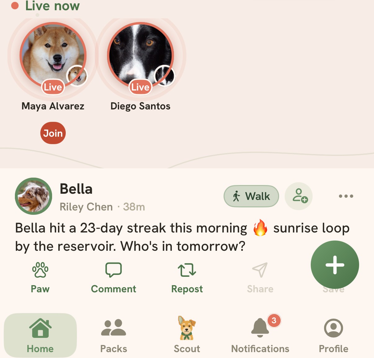 The new layout: Live now and a post from Bella above the tab bar, with Home, Packs, Scout, Notifications and Profile